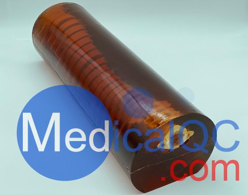 SE-A01成人脊柱模型,SE-A01成人脊柱模體，X射線，CT、MRI兼容