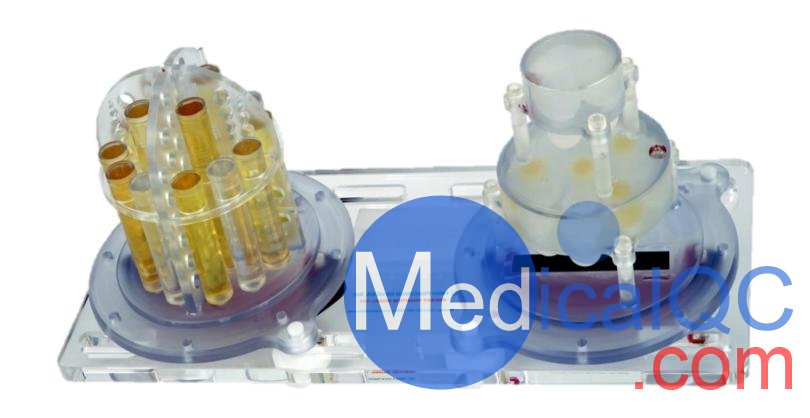 qMRI乳腺成像模體，美國QalibreMD qMRI定量核磁共振乳腺模體