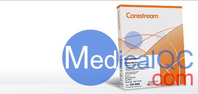 柯達(dá)BioMax MS膠片，BMS1 X射線膠片，Kodak BioMax MS科學(xué)膠片，Carestream自顯影膠片