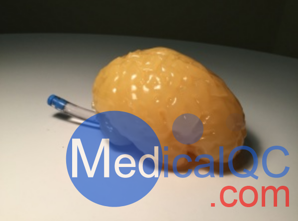 Truephantom BN-A01標準成人腦模體，適用于CT、MRI、超聲