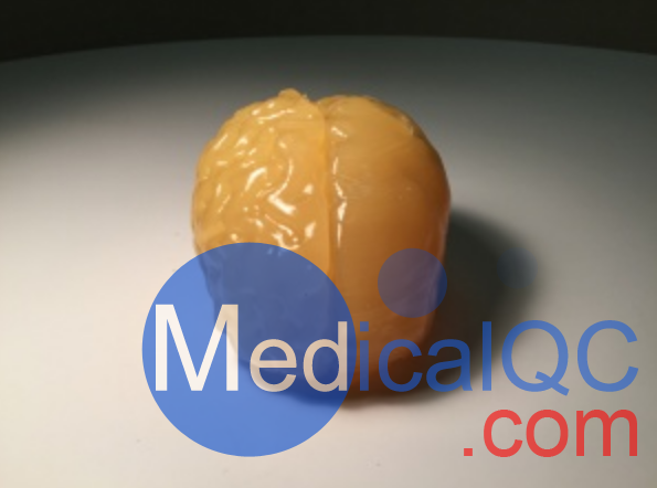 Truephantom BN-A01標準成人腦模體，適用于CT、MRI、超聲