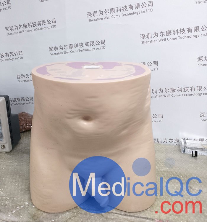 CIRS 801-P男性骨盤模體，CIRS 801-P模體實物拍攝圖