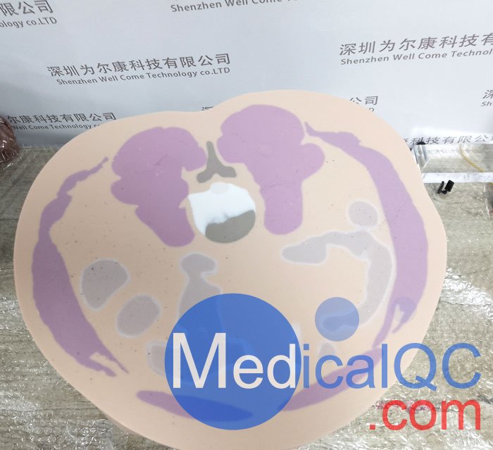 CIRS 801-P男性骨盤模體，CIRS 801-P模體實物拍攝圖