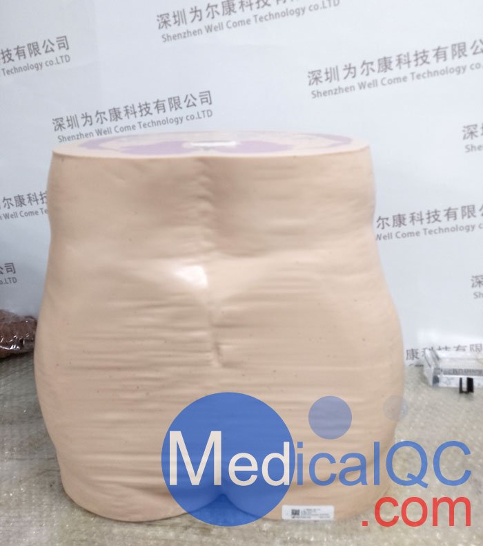 CIRS 801-P男性骨盤模體，CIRS 801-P模體實物拍攝圖