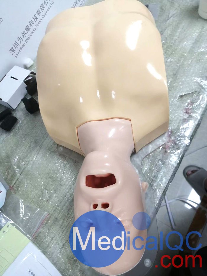 WEK-B05內(nèi)窺鏡支氣管模體，WEK-B05支氣管模型