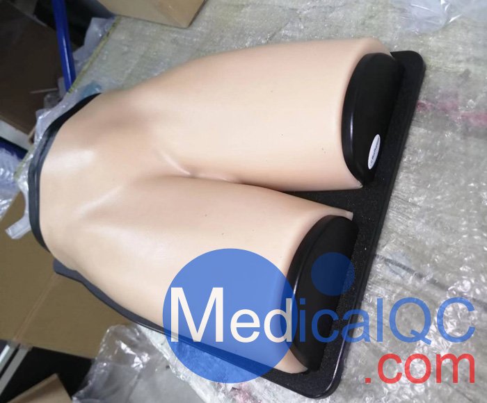 BPF1500-HP血管通路和區(qū)域麻醉超聲訓(xùn)練模體，BPF1500-HP區(qū)域麻醉超聲模體