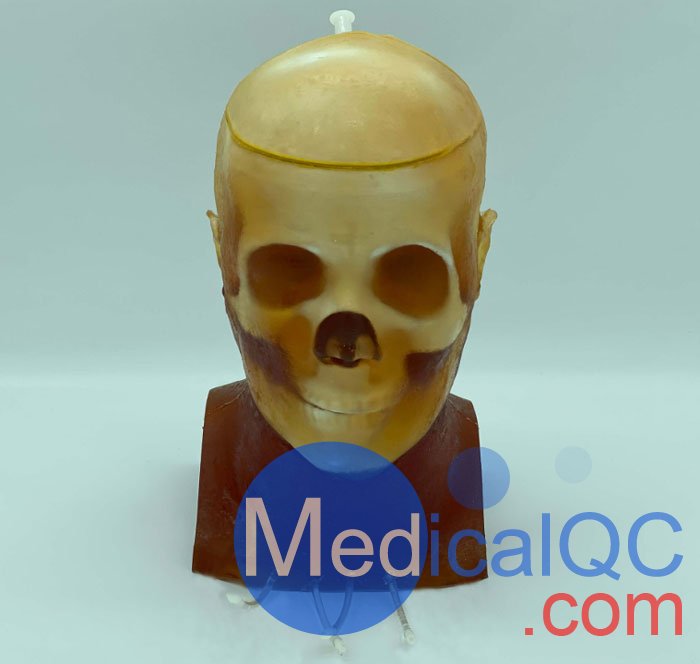 HD-C03成人頭模，HD-C03血管造影頭模，HD-C03頭部模體實拍圖