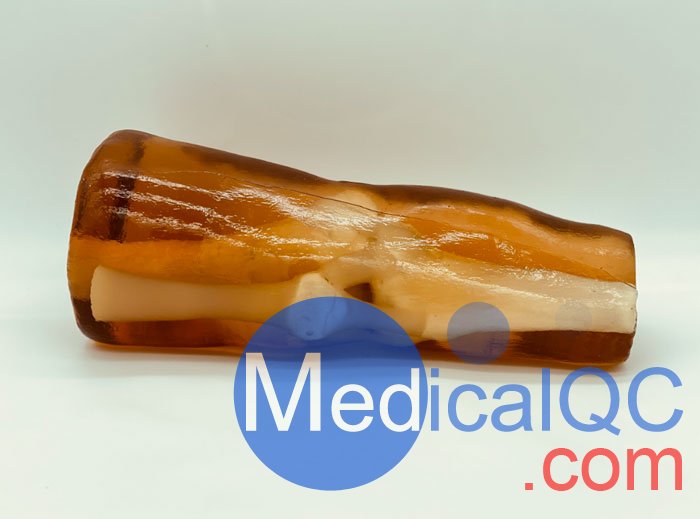 KE-A03成人膝關節(jié)，KE-A03膝關節(jié)模體,KE-A03膝關節(jié)模型成像效果圖