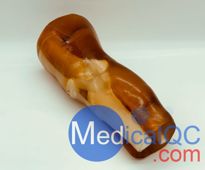 KE-A03成人膝關節(jié)，KE-A03膝關節(jié)模體,KE-A03膝關節(jié)模型成像效果圖