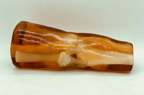 KE-A03成人膝關(guān)節(jié)，KE-A03膝關(guān)節(jié)模體,KE-A03膝關(guān)節(jié)模型