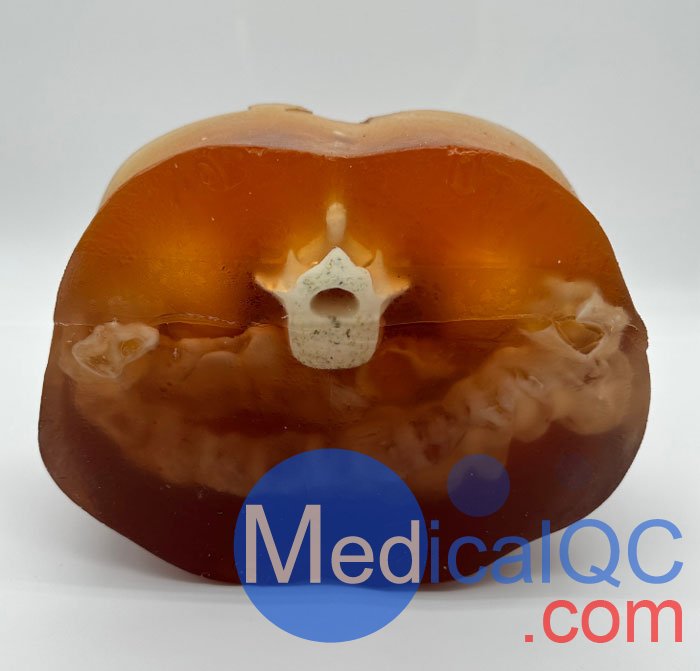 US-A03腹部模體,US-A03 FAST模體,US-A03成人腹部模型實(shí)物拍攝圖