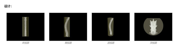 SE-A02成人脊柱模型，SE-A02脊柱模體,SE-A02脊椎模體設(shè)計(jì)示圖