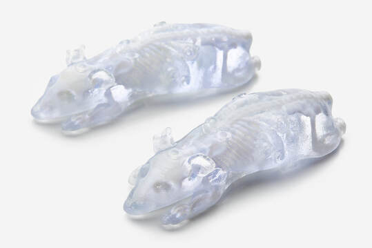 BioMouse模體,BioMouse小鼠模型，Phantech Bio-Mouse多功能小鼠模體