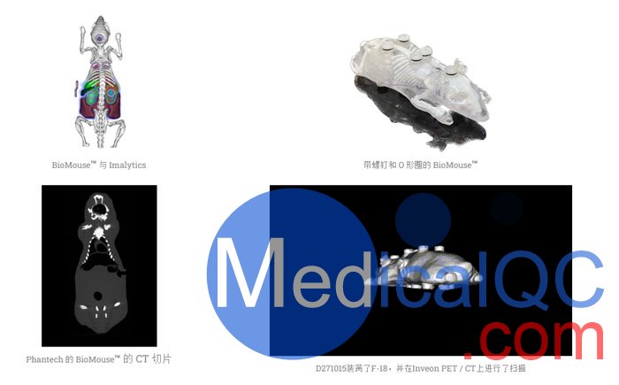 BioMouse模體,BioMouse小鼠模型，Phantech Bio-Mouse多功能小鼠模體