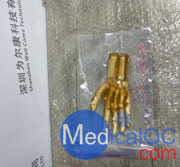 HN-P01兒童手掌模體，HN-P01手掌模型產(chǎn)品實拍圖
