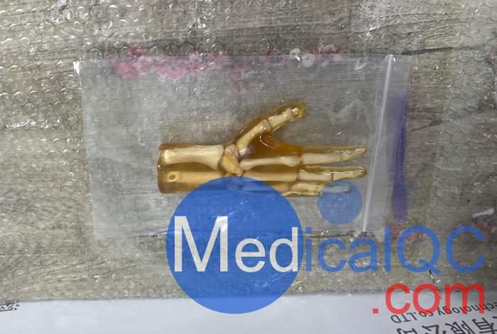 HN-P01兒童手掌模體，HN-P01手掌模型產(chǎn)品實拍圖