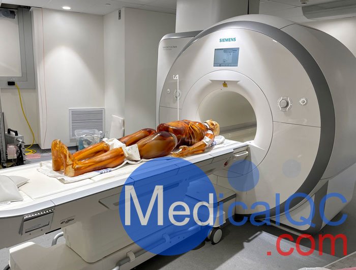 FB-A02成人全身模體,FB-A02全身CT模型，適用于X射線，CT,MRI