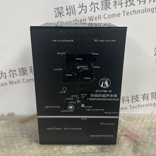 KS107QN-4A腔內(nèi)掃查超聲體模，KS107QN-4A介入式掃查體模