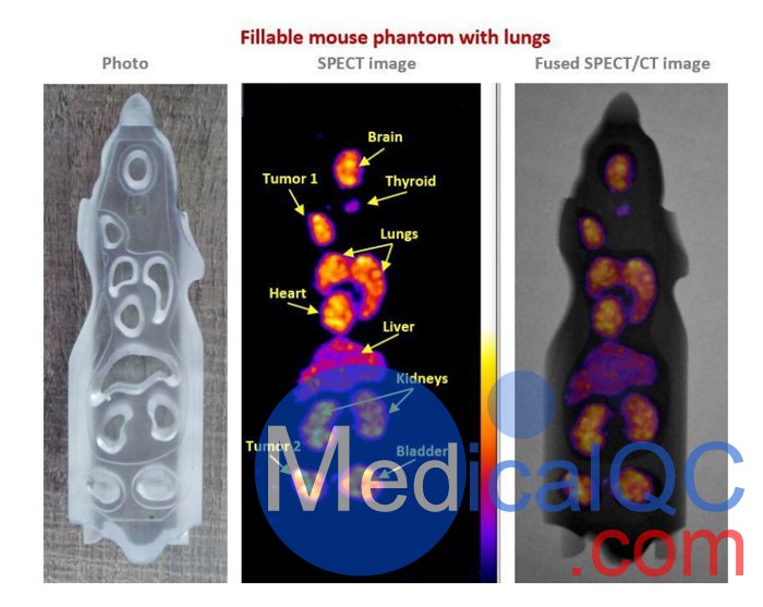 BIOEMTECH可填充鼠模型,PET/SPECT鼠模模體，Mouse / Rat模體
