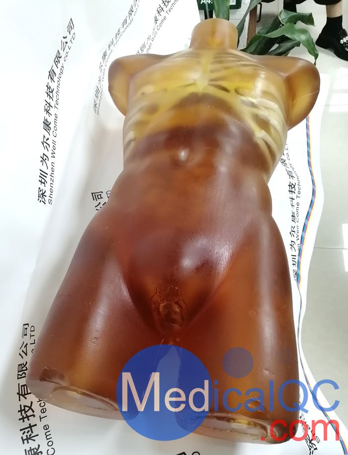 US-A02成人軀干模體，US-A02可用于超聲，CT,X射線成像