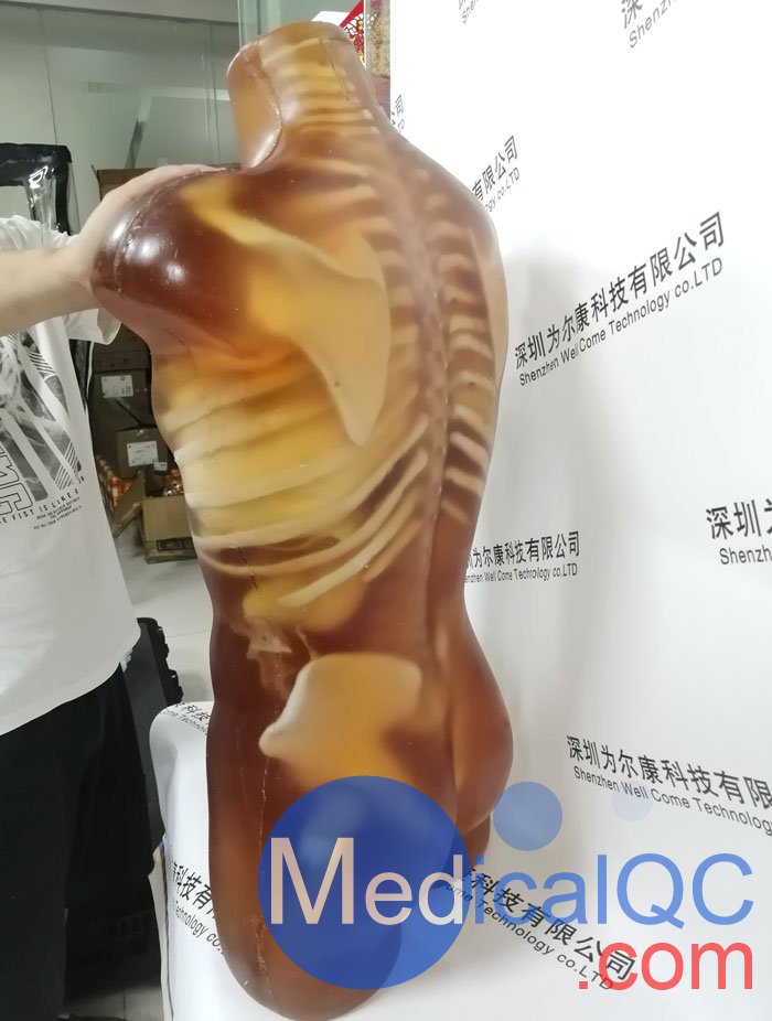 US-A02成人軀干模體，US-A02可用于超聲，CT,X射線成像