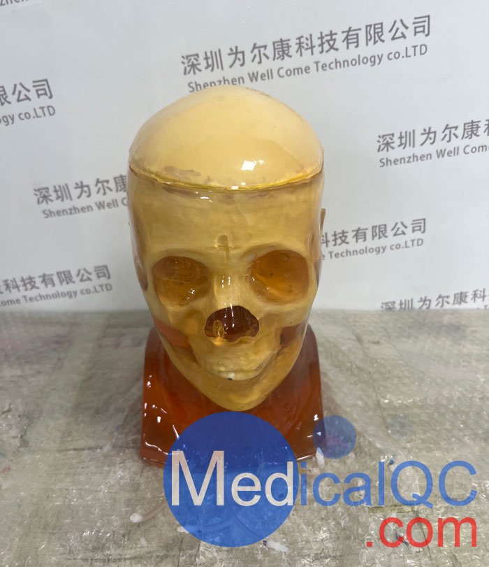 HD-C03成人頭模，HD-C03血管造影頭模，HD-C03頭部模體實拍圖