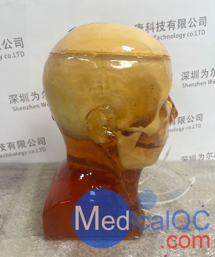 HD-C03成人頭模，HD-C03血管造影頭模，HD-C03頭部模體實拍圖