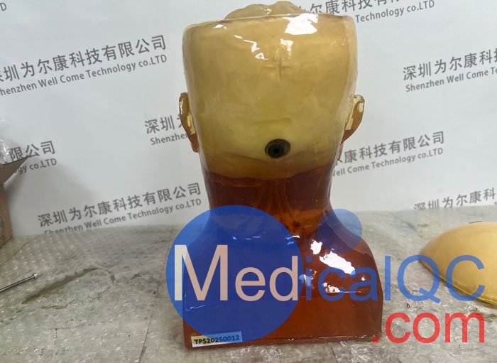 HD-C03成人頭模，HD-C03血管造影頭模，HD-C03頭部模體實拍圖