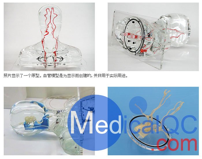 HB-1頭部血管模型，HB-1頭部體模，帶血管
